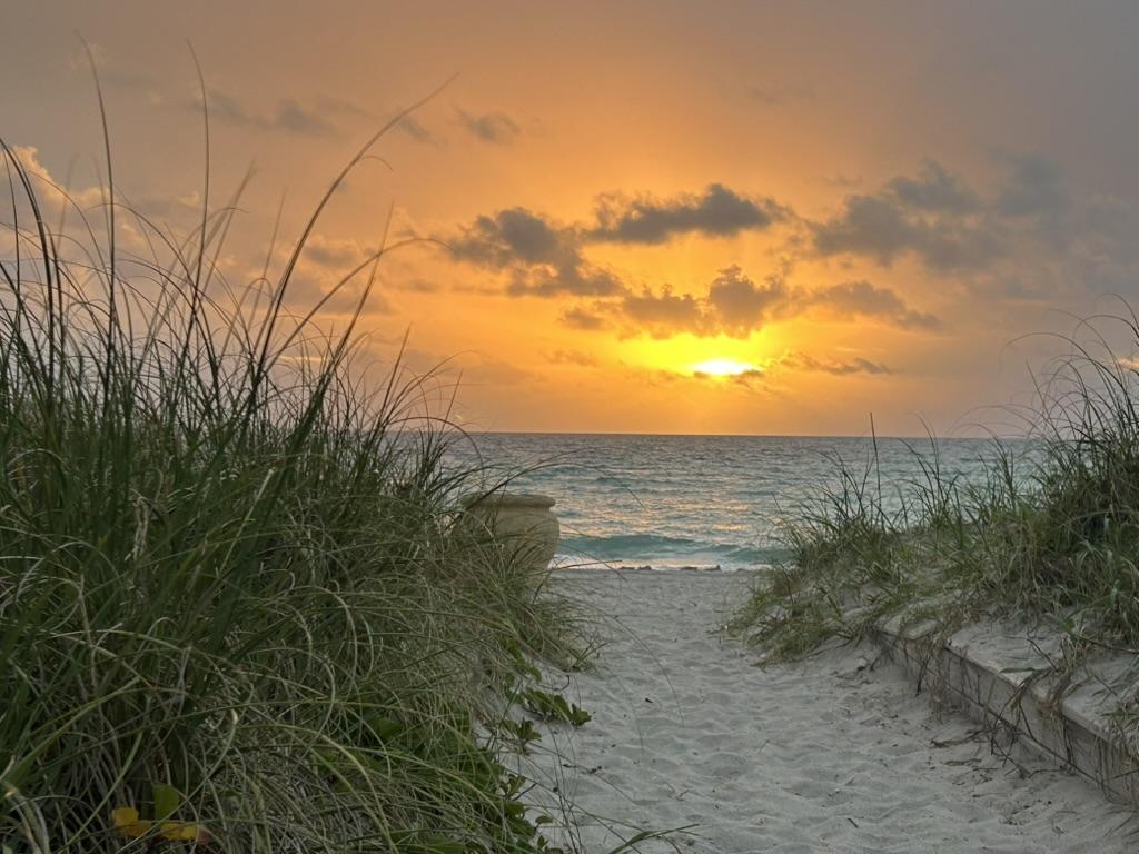 image of beach sunrise